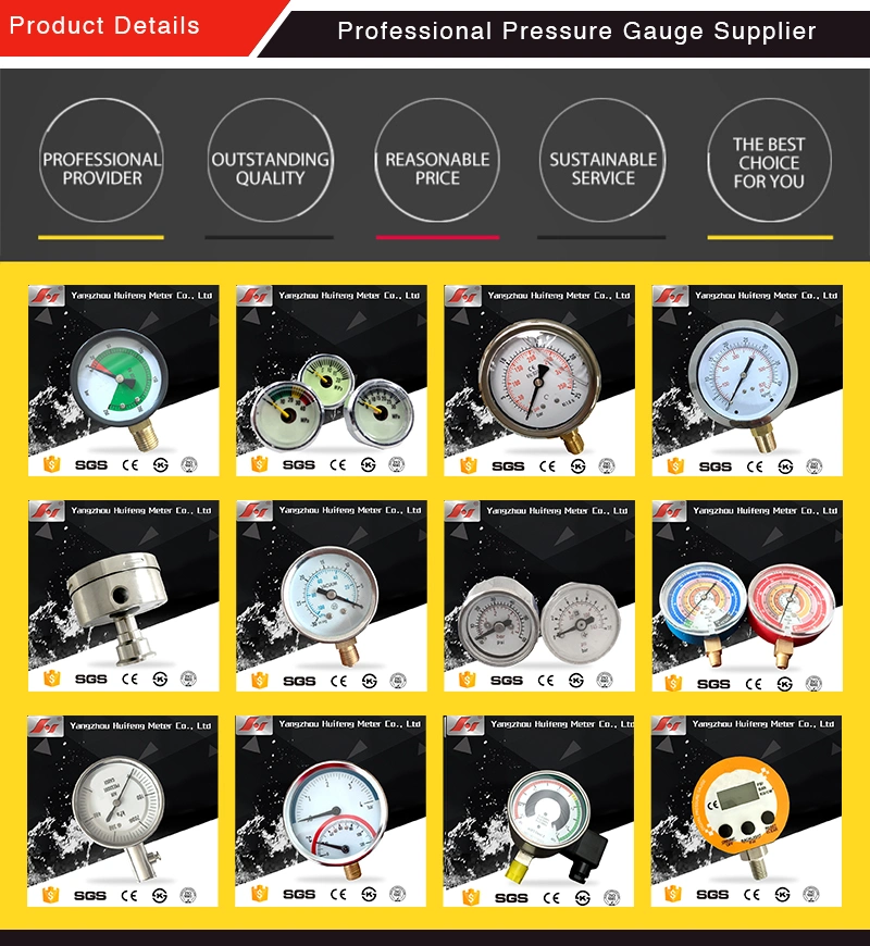 All Stainless Steel Gas Fluid Manometer for Pump, Nace Pressure Gauge